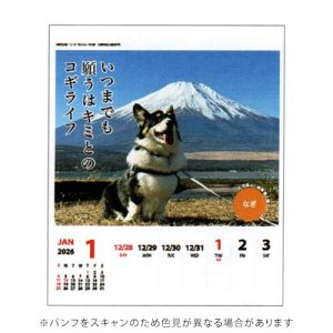 アートプリントジャパン 2026年版カレンダー コーギー 川柳 週めくり 犬  A.P.J. 1000136876